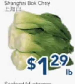 Oceans Fresh Food Market Shanghai Bok Choy offer