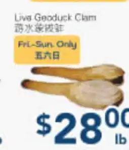 Oceans Fresh Food Market Liva Geoduck Clam offer