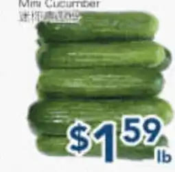 Oceans Fresh Food Market Mini Cucumber offer