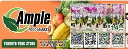 Ample Food Market Ample FOOD MARKET offer