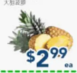 Oceans Fresh Food Market 大甜菠萝 offer