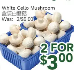Ample Food Market White Cello Mushroom offer