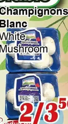 Marche C&T Champignons Blanc offer