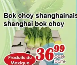 Marche C&T Bok choy shanghai offer