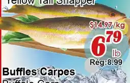 Marche C&T Yellow Tail Snapper offer
