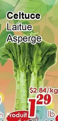 Marche C&T Celtuce Laitue Asperge offer