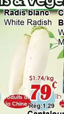 Marche C&T Radis blanc offer