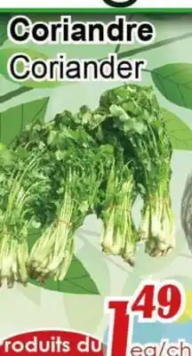 Marche C&T Coriandre offer