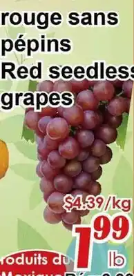 Marche C&T Red seedless grapes offer