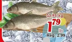 Marche C&T Barram Carp offer
