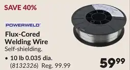 Princess Auto Flux-Cored Welding Wire 10 lb 0.035 dia offer