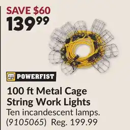 Princess Auto 100 ftMetal Cage String Work Lights offer