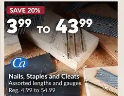 Princess Auto Nails, Staples and Cleats offer