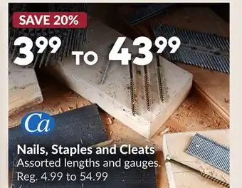 Princess Auto Nails, Staples and Cleats offer