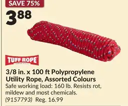 Princess Auto Polypropylene Utility Rope, Assorted Colours offer