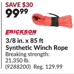 Princess Auto ERICKSON 3/8 in. x 85 Synthetic Winch Rope offer
