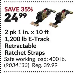 Princess Auto 2 pk 1 in. x 10 1,200 lb E-Track Retractable Ratchet Straps offer