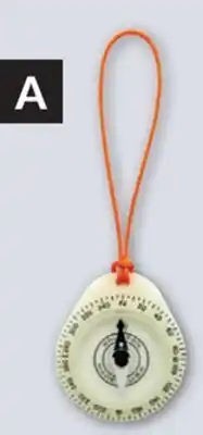 Princess Auto Key Ring Compasses offer