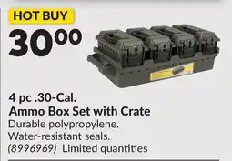 Princess Auto 4 pc .30-Cal. Ammo Box Set with Crate offer