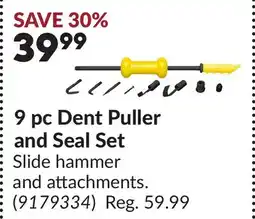 Princess Auto Dent Puller and Seal Set offer