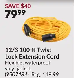 Princess Auto 12/3 100 ftTwist Lock Extension Cord offer