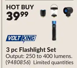 Princess Auto 3 pc Flashlight Set offer