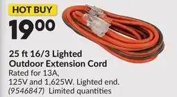 Princess Auto 25 ft16/3 Lighted Outdoor Extension Cord offer