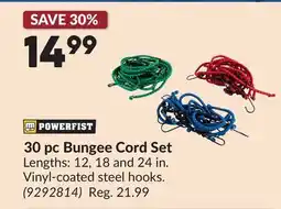 Princess Auto 30 pc Bungee Cord Set offer