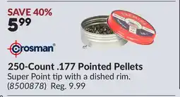 Princess Auto 250-Count .177 Pointed Pellets offer