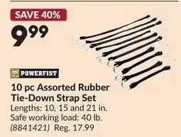 Princess Auto 10 pc Assorted Rubber Tie-Down Strap Set offer