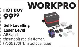 Princess Auto Self-Levelling Laser Level offer