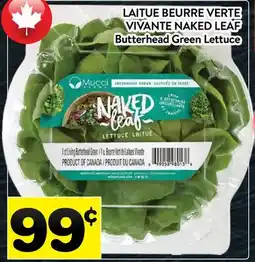Supermarché PA LAITUE BEURRE VERTE NAKED LEAF |Butterhead Green Lettuce offer