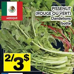 Supermarché PA PISSENLIT (ROUGE OU VERT) | Dandelions offer