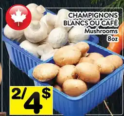 Supermarché PA CHAMPIGNONS BLANCS OU CAFÉ BLANCS OU CAFÉ | Mushrooms offer
