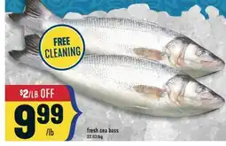 Marché Adonis Fresh sea bass offer