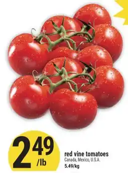 Marché Adonis Red vine tomatoes offer