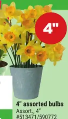 Giant Tiger 4 assorted bulbs offer