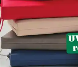 Giant Tiger Dual-use cushion offer