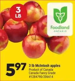 Giant Tiger 3 lb McIntosh apples offer