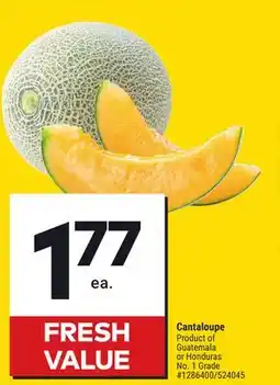 Giant Tiger Cantaloupe offer