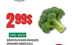 Marches Tau BROCOLIS BIOLOGIQUES offer