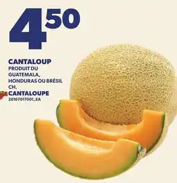 Provigo CANTALOUP offer