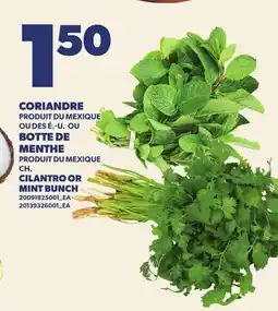 Provigo CORIANDRE OU BOTTE DE MENTHE offer