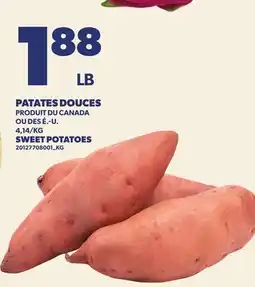 Provigo SWEET POTATOES, 4,14/KG offer