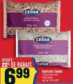 Marché Adonis Haricots Cedar | Cedar beans offer
