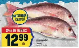 Marché Adonis VIVANEAU ENTIER | WHOLE SNAPPER offer