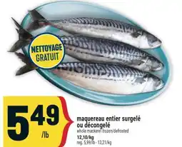 Marché Adonis MAQUEREAU ENTIER SURGELÉ OU DÉCONGELÉ | WHOLE MACKEREL FROZEN/DEFROSTED offer