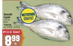 Marché Adonis DAURADE ROYALE | ROYAL SEA BREAM offer