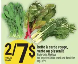 Marché Adonis Bette à carde rouge, verte ou pissenlit | Red or green Swiss chard and dandelion offer