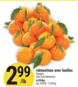 Marché Adonis CLÉMENTINES AVEC FEUILLES | STEM LEAF CLEMENTINE offer